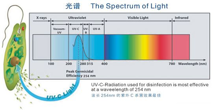 科普！紫外線殺菌燈對人體影響及正確使用方法